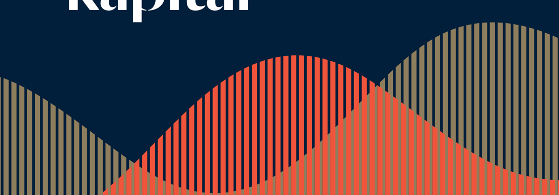 Fremtidens Kapital Website (3)